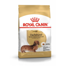 Royal Canin Breed Dachshund Adulto